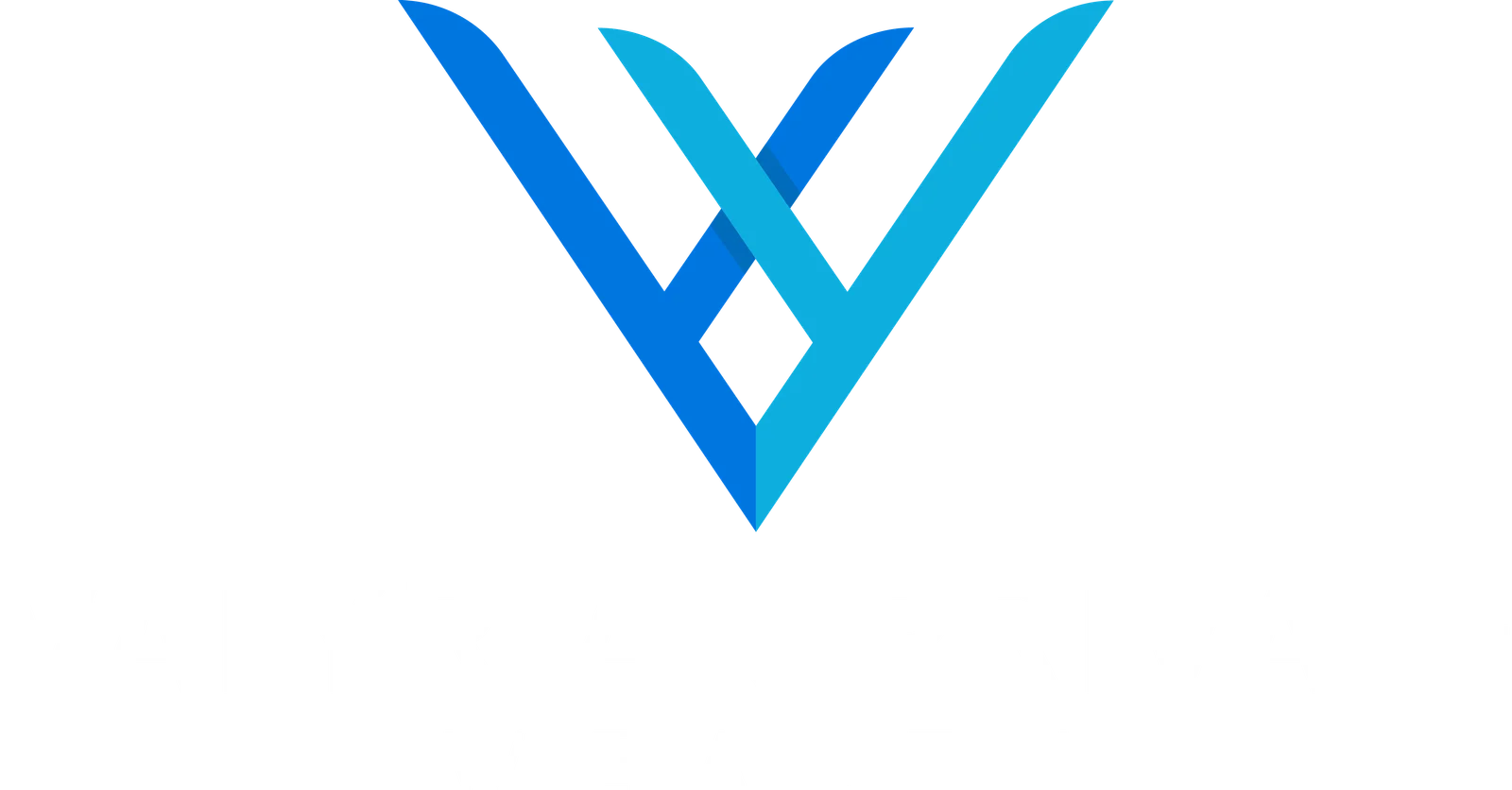 Valyrian Private Wealth